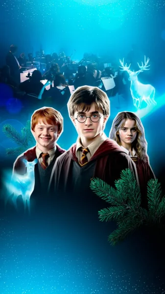 Гарри Поттер. Большое симфоническое шоу